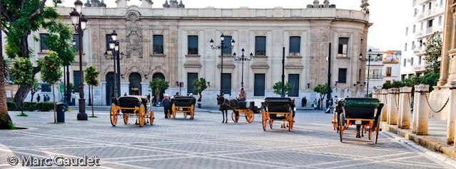 1/320 sec at f / 5.0