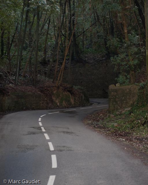 1/320 sec at f / 2.8