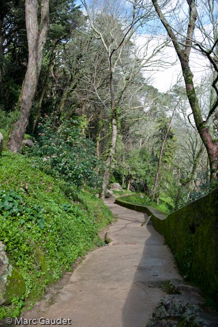 1/320 sec at f / 4.0