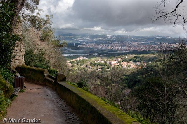 1/320 sec at f / 6.3