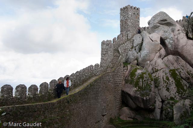 1/320 sec at f / 8.0