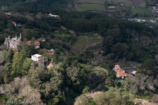 1/200 sec at f / 8.0