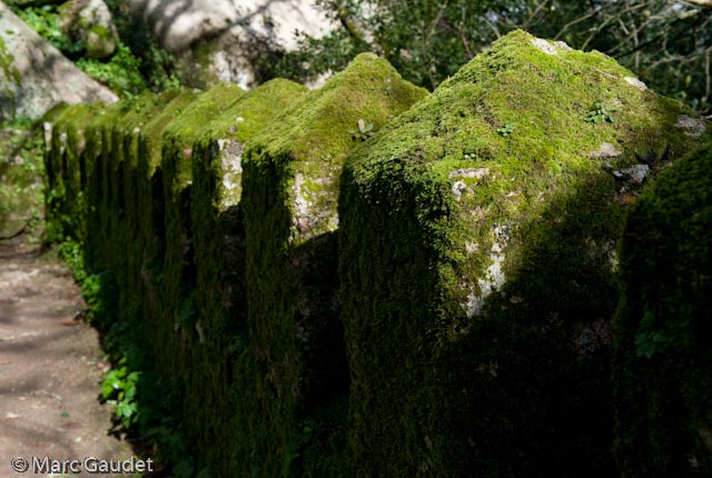 1/640 sec at f / 8.0