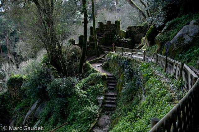 1/800 sec at f / 4.0